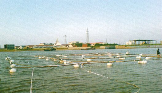 海面探測斷層構造